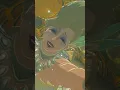 The Legend of Zelda Breath of the Wild - Great Fairy Fountain