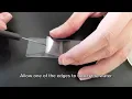 Preparation of Slide Wet Mount