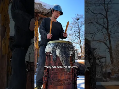 Buaya Kesayangan Ini Berakhir Jadi Drum 🐊