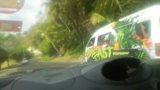 Michiegan Vincy van