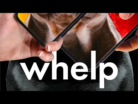 Whelp Trailer