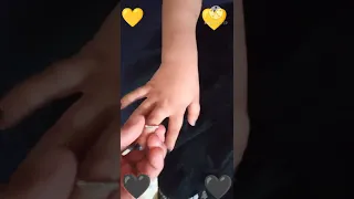 البسها واشيكها    دندنها