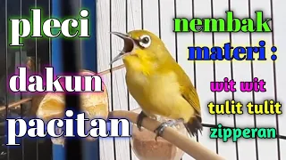 pleci dakun pacitan nembak materi wit wit tulit tulit zipperan 