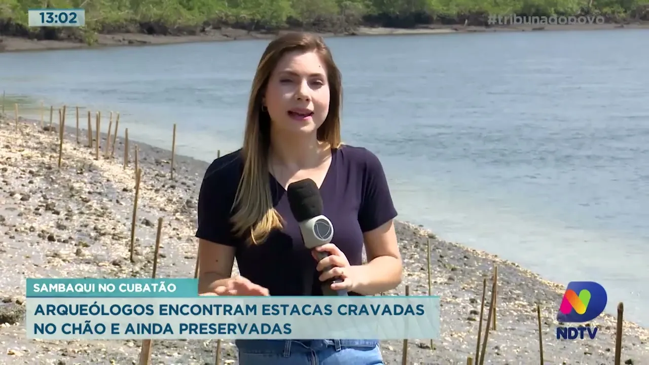 Sambaqui no Cubatão: Arqueólogos encontram estacas cravadas no chão e ainda preservadas