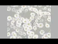 愛だけを残せ～中島みゆき～カバー