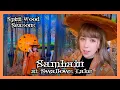 Lagu Samhain Heksenboswandeling | Spirituele herfstvlog | Gezellige spirituele natuurvlog