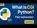 What is CGI in python