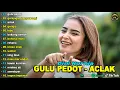 Download Lagu DINI KURNIA - GULU PEDOT, GERIGIS, GERAJAGAN - FULL ALBUM KOPLO OSING BANYUWANGI VIRAL 2025
