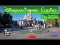 WHAT is DisneylandForward Let me explain it