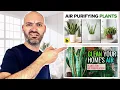 You re Being LIED To Plants DON T Purify The Air