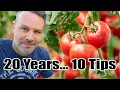 Download Lagu My TOP 10 TOMATO Growing Tips from 20 Years of Experience