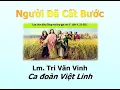 Download Lagu Người Đã Cất Bước (Lm. Tri Văn Vinh)