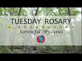 Download Lagu Rozenkrans van dinsdag • Droeve mysteries van de Rozenkrans 💜 15 juli 2025 - Meerdere talen besch...