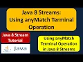 Java 8 Streams Using anyMatch Terminal Operation Streams in Java 8