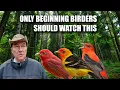 Beginning Birders Do These Things Wrong