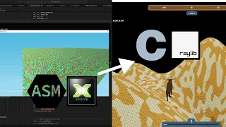 From assembly and Directx11 to C and raylib