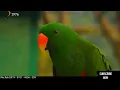 Full Album Deddy Dores Matahariku || Ingin Memeluk Dirimu || Bintang Kehidupan
