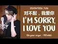 Download Lagu [LYRICS/가사] SEVENTEEN (세븐틴) JUN - 对不起，我爱你 (I'm Sorry, I Love You) [COVER]