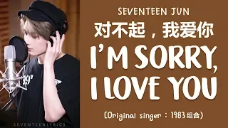 Download [LYRICS/가사] SEVENTEEN (세븐틴) JUN - 对不起，我爱你 (I'm Sorry, I Love You) [COVER] MP3