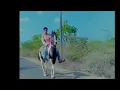 UberRe re  ubhi ugamne Darbar              #horse #bavri