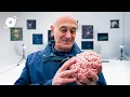 The 600 Million Year Story of the Human Brain FULL DOCUMENTARY