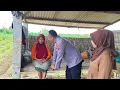 SEORANG IBU PIKUN KAMI TEMUKAN DUDUK SENDIRI DI GUBUK DITENGAH SAWAH ,WARGA TIDAK ADA YANG KENAL