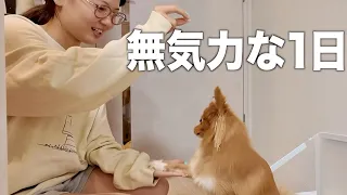 朝から何もやる気になれなかったからやる気を出すためカメラ回してみたけど…