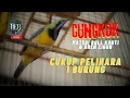 CUCAK CUNGKOK NEMBAK KUNTI \u0026 BREN CIGUN ❗️SUARA SUPER KRISTAL #masteranjernih #cungkokgacor