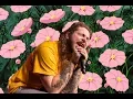 post malone - i fall apart lofi remix