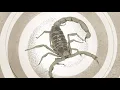 Download Lagu Jerry Cantrell - Siren Song (Official Visualizer)