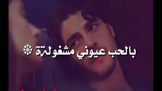 فبدأت روايتي الاولى حالات واتس اب 