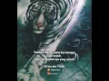 story wa macan putih. manut pangeran👑gusti Allah #shorts #mymonthonyoutube #katakatabijak