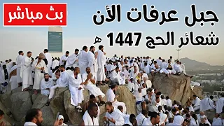 مباشر يوم عرفة   لبيك اللهم لبيك   جبل عرفات   مناسك حج        نقل شعائر الحج                        دندنها
