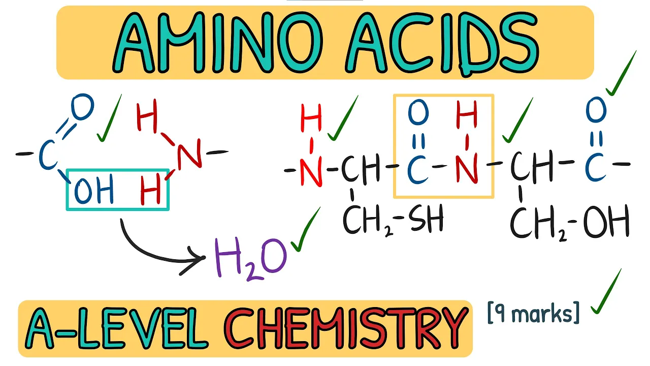 Amino Acids and Proteins - Exam Question Walkthrough|AQA A Level Chemistry