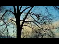 Most Of The Time - Bob Dylan