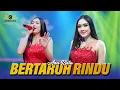 Download Lagu BERTARUH RINDU - ANA RISTA - CENDANA 87 DANGDUT OFFICIAL