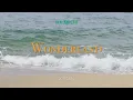 [𝐏𝐥𝐚𝐲𝐥𝐢𝐬𝐭] 마치 여름같은 마치(MRCH) 음악 | 앨범&유튜브 모음 | 취향만 모음