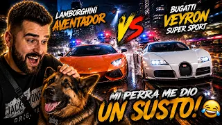 🔥 AVENTADOR VS BUGATTI… ¡Y MI PERRO ME HIZO ESTRELLARME! 😂
