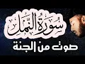 Download Lagu سورةالنمل 🐜 ( كاملة ) تلاوة🌹هادئة😴للنوم راحة للقلب❤️ والعقل صوت من السماء وراحة نفسية بلال دربالي 2