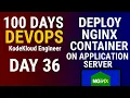 Day 36 Deploy nginx container kodekloudEngineer