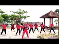 Download Lagu DJ SATU RASA CINTA | senam kreasi | zumba | Zin isyana | aero zumba club Dalegan