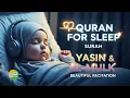 Lagu Ontspannende Koran voor diepe slaap ♡ Surah Yaseen, Surah Al-Mulk | Blad Koran