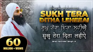 sukh tera ditha leheeai soothing gurbani shabad 4k nkj