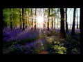 Killigrew Mother Earth Original mix (2015 Chillout)