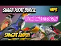 Download Lagu PIKAT BURCIL KOMBINASI SOGON RIBUT DAN KONIN RIBUT MP3 ANTI ZONK SUARA JERNIH