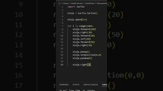 Draw Ninja Design in python using Turtle