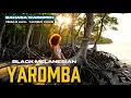 YAROMBA -  Lagu Daerah Waropen | Black Melanesian | Official Video Music