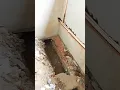 Download Lagu SwR plumbing wark home #viral #bathroom part.1