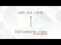 Rammstein - Was Ich Liebe (instrumental cover) [live version]