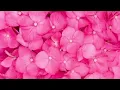 Summer Walker (Ft. Bryson Tiller) - Playing Games (Extended Version) (Lyrics)
